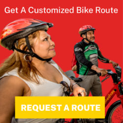 Request Customized Route