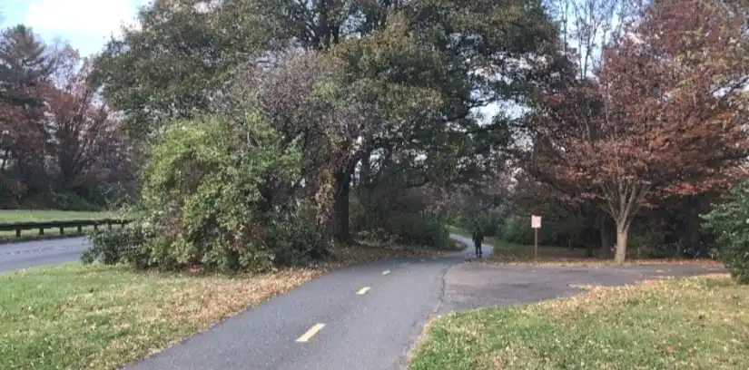 a photo of a bike lane winding through a lot of trees on the way to the airport