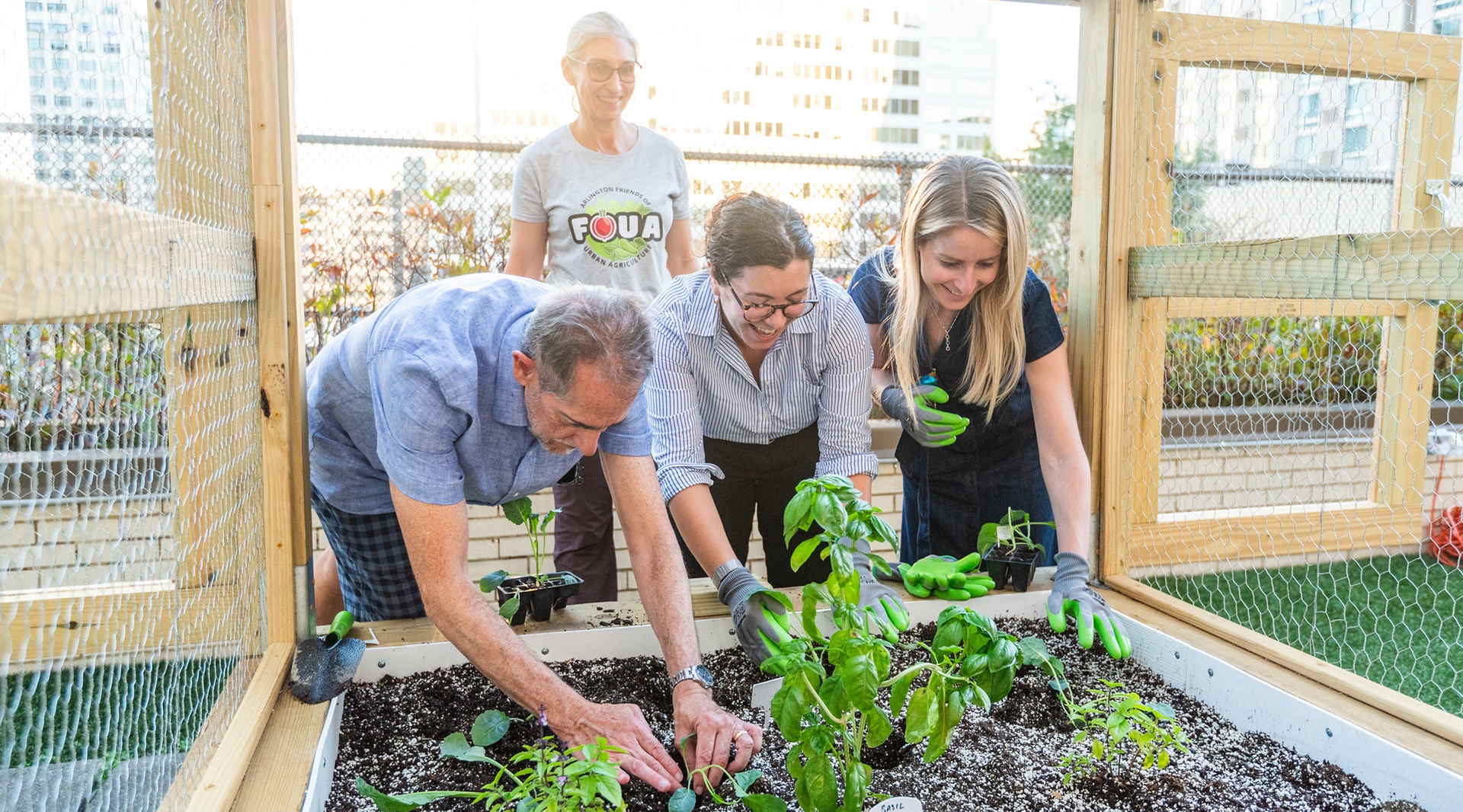 Friends of Urban Agriculture at the NOW