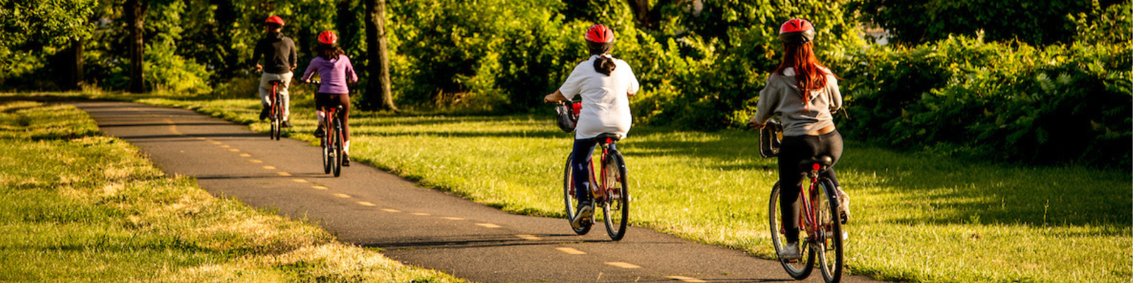 People biking on a trail